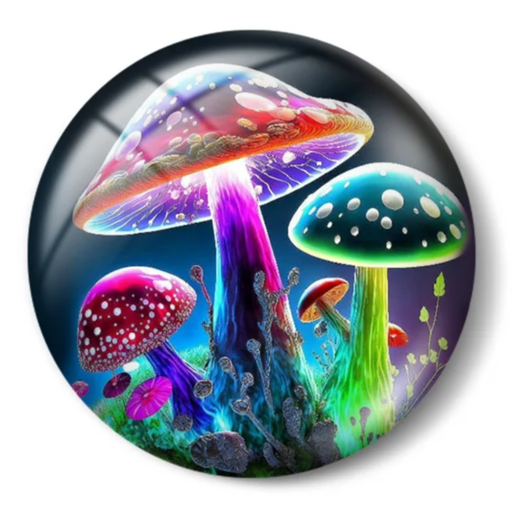 3 Pair Fantasy Mushroom Set